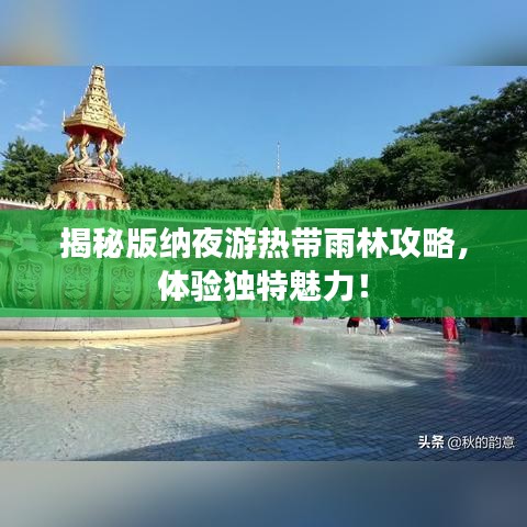 揭秘版纳夜游热带雨林攻略，体验独特魅力！