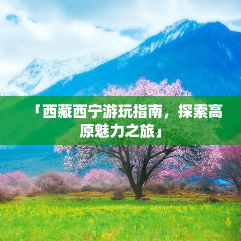 屈尊就卑 第3页