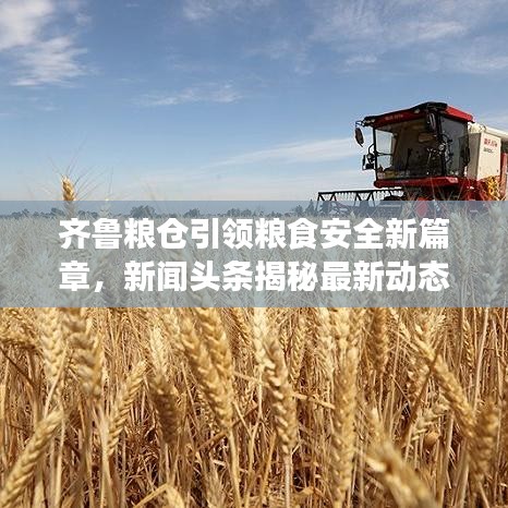 齐鲁粮仓引领粮食安全新篇章，新闻头条揭秘最新动态