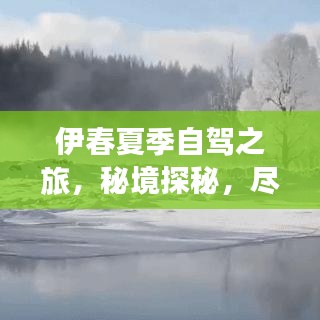 伊春夏季自驾之旅,秘境探秘,尽享自然盛宴