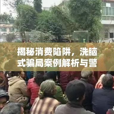 揭秘消费陷阱,洗脑式骗局案例解析与警示大全