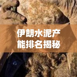 伊朗水泥产能排名揭秘，前十名企业大盘点！