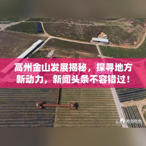 高州金山发展揭秘，探寻地方新动力，新闻头条不容错过！