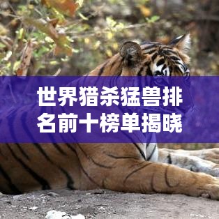 世界猎杀猛兽排名前十榜单揭晓!