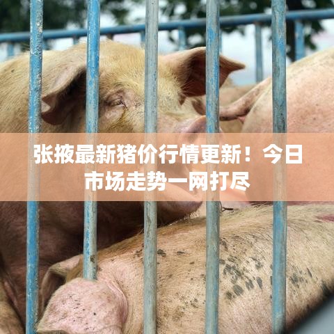张掖最新猪价行情更新!今日市场走势一网打尽