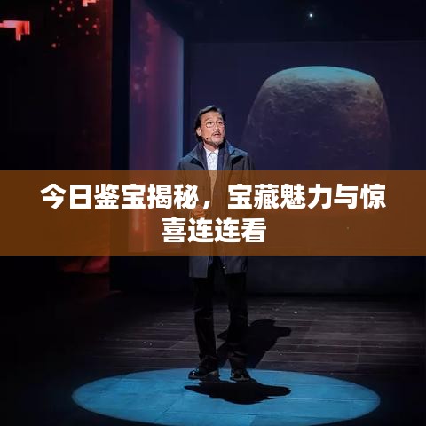 今日鉴宝揭秘,宝藏魅力与惊喜连连看