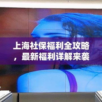 上海社保福利全攻略,最新福利详解来袭!