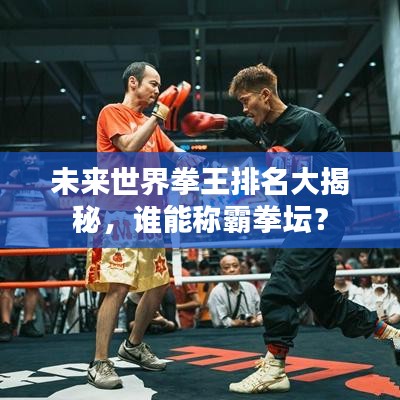 未来世界拳王排名大揭秘,谁能称霸拳坛?