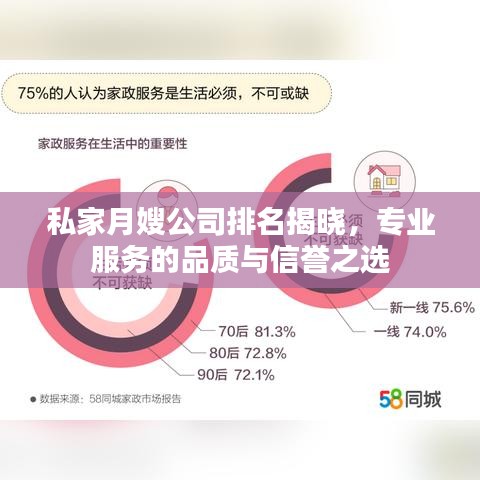 私家月嫂公司排名揭晓，专业服务的品质与信誉之选