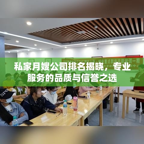 私家月嫂公司排名揭晓,专业服务的品质与信誉之选