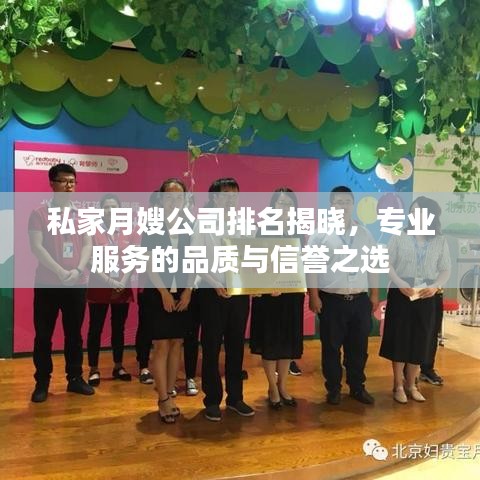 私家月嫂公司排名揭晓,专业服务的品质与信誉之选