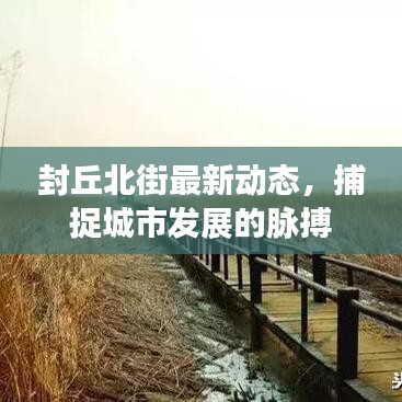 封丘北街最新动态,捕捉城市发展的脉搏