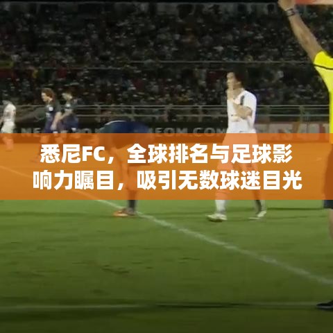 悉尼FC，全球排名与足球影响力瞩目，吸引无数球迷目光！