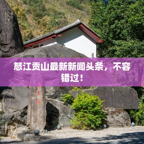 怒江贡山最新新闻头条,不容错过!