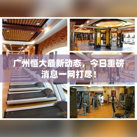 广州恒大最新动态,今日重磅消息一网打尽!