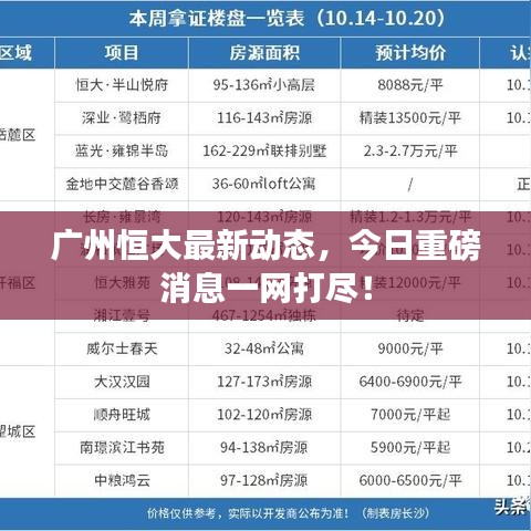 广州恒大最新动态,今日重磅消息一网打尽!