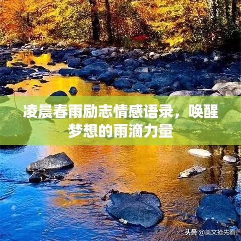 凌晨春雨励志情感语录，唤醒梦想的雨滴力量