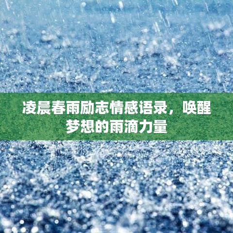 凌晨春雨励志情感语录,唤醒梦想的雨滴力量