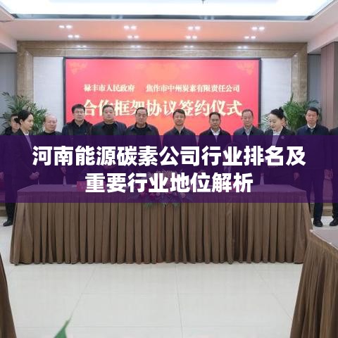 河南能源碳素公司行业排名及重要行业地位解析