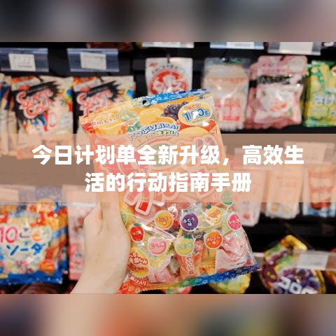 今日计划单全新升级,高效生活的行动指南手册