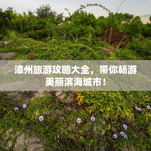 漳州旅游攻略大全,带你畅游美丽滨海城市!