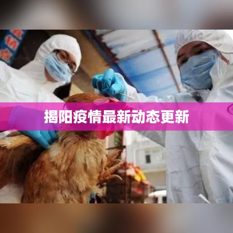 揭阳疫情最新动态更新