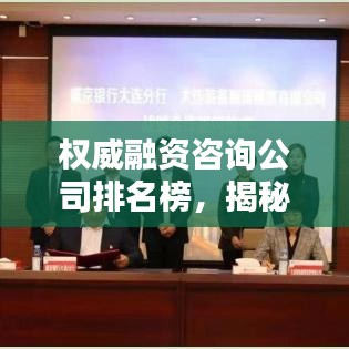 权威融资咨询公司排名榜,揭秘行业领军者