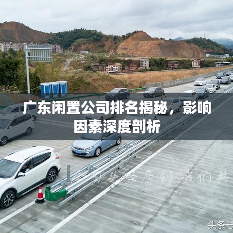 广东闲置公司排名揭秘，影响因素深度剖析