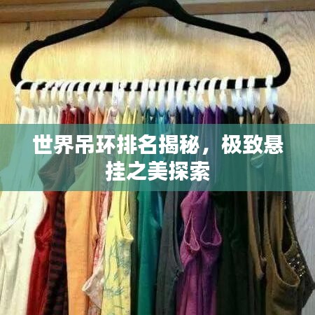 世界吊环排名揭秘,极致悬挂之美探索