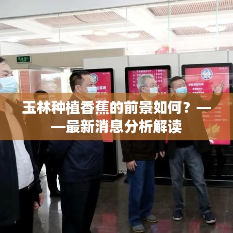 玉林种植香蕉的前景如何?——最新消息分析解读