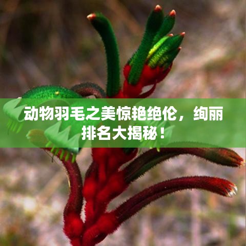 早生贵子 第4页