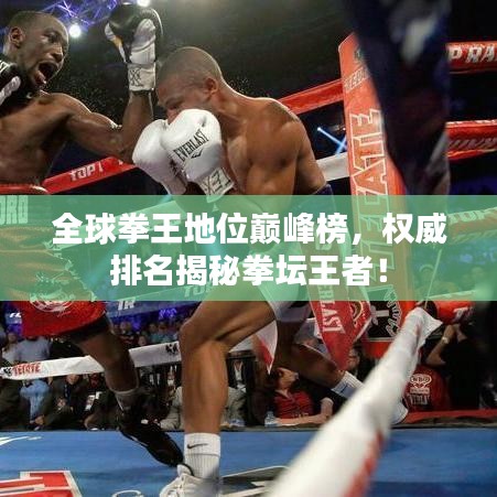 全球拳王地位巅峰榜,权威排名揭秘拳坛王者!