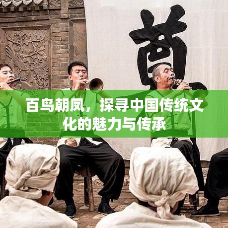 百鸟朝凤,探寻中国传统文化的魅力与传承