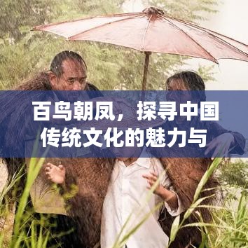 百鸟朝凤,探寻中国传统文化的魅力与传承