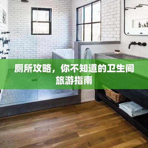 厕所攻略,你不知道的卫生间旅游指南