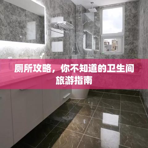 厕所攻略,你不知道的卫生间旅游指南