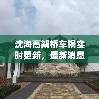 沈海高架桥车祸实时更新，最新消息汇总