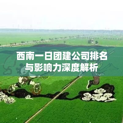 西南一日团建公司排名与影响力深度解析