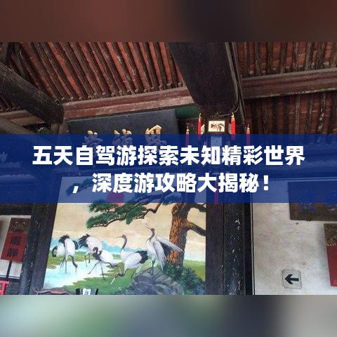 五天自驾游探索未知精彩世界,深度游攻略大揭秘!