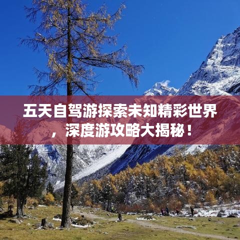 五天自驾游探索未知精彩世界,深度游攻略大揭秘!