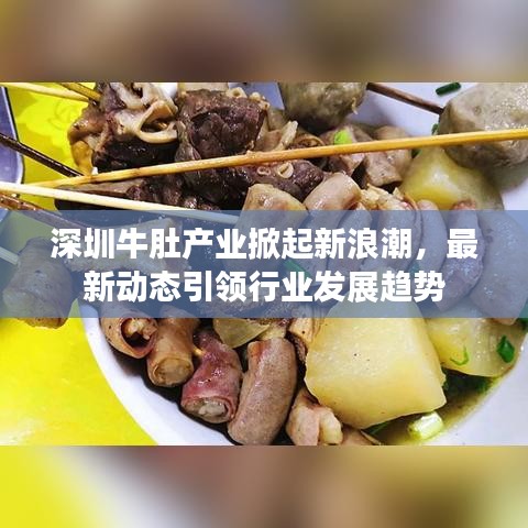 深圳牛肚产业掀起新浪潮,最新动态引领行业发展趋势