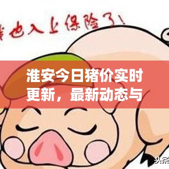 淮安今日猪价实时更新,最新动态与市场走势分析