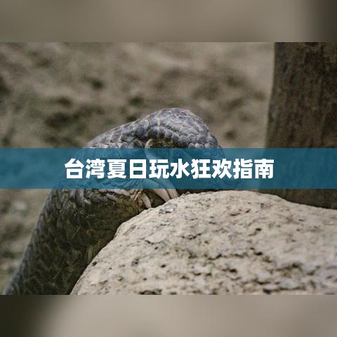 台湾夏日玩水狂欢指南