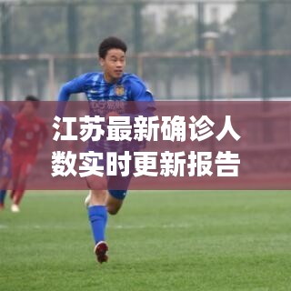 江苏最新确诊人数实时更新报告,最新数据揭秘