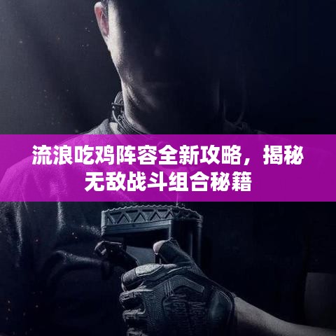 流浪吃鸡阵容全新攻略,揭秘无敌战斗组合秘籍