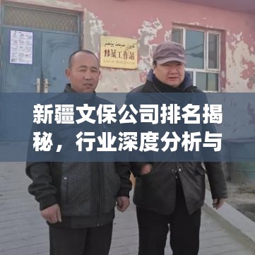 新疆文保公司排名揭秘,行业深度分析与前景展望