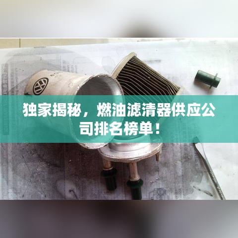 独家揭秘,燃油滤清器供应公司排名榜单!
