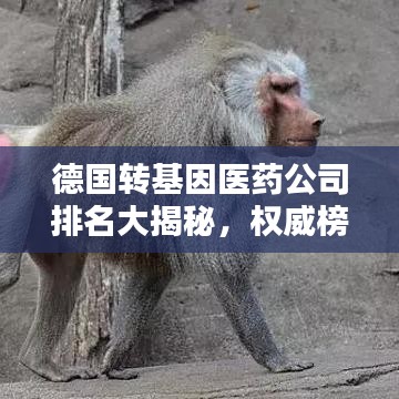 德国转基因医药公司排名大揭秘,权威榜单引领行业风向标!