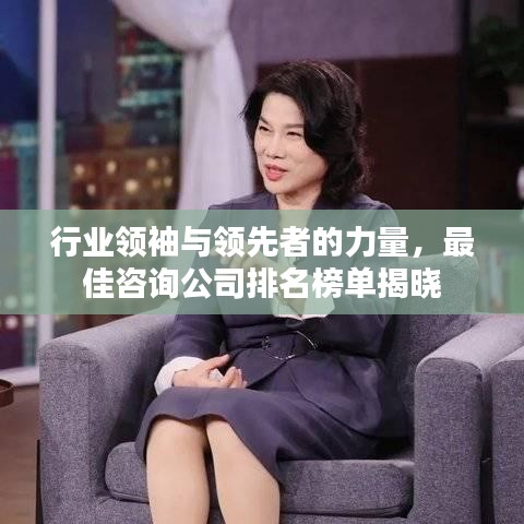 行业领袖与领先者的力量,最佳咨询公司排名榜单揭晓