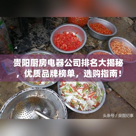 贵阳厨房电器公司排名大揭秘，优质品牌榜单，选购指南！